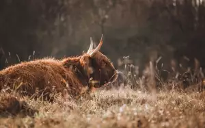 Jak Poznat Atopický Ekzém